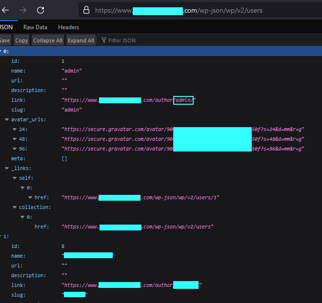 wp-json user exposure picture